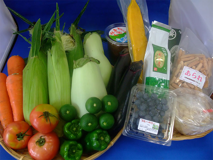 美馬市いなかの味　ふるさと小包　半期便7月