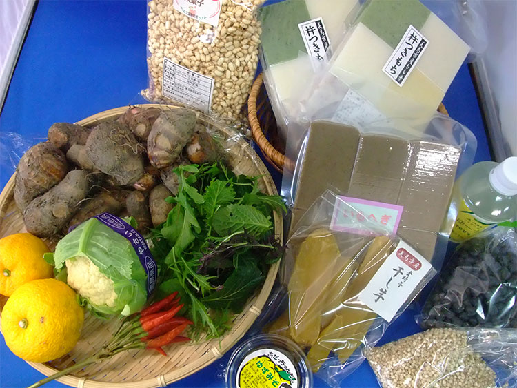 美馬市いなかの味　ふる里小包　全期便(年2回)