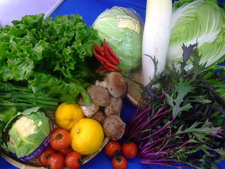 旬の野菜便　冬便