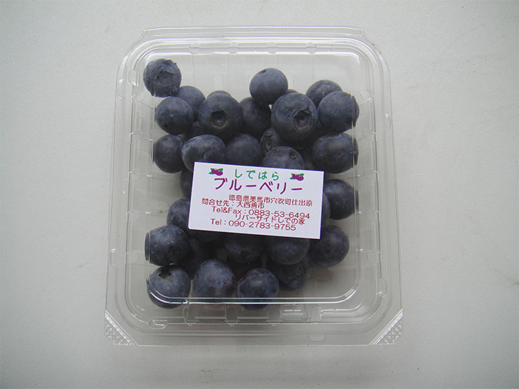自然が育てた美馬のブルーベリー(徳島産ブルーベリー)