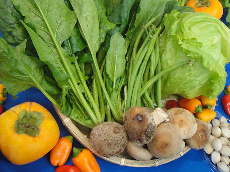 旬の野菜便　秋便