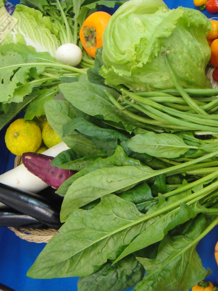 旬の野菜便　秋便